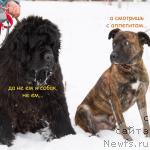 Фотография № 216432