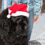 Фотография № 216436