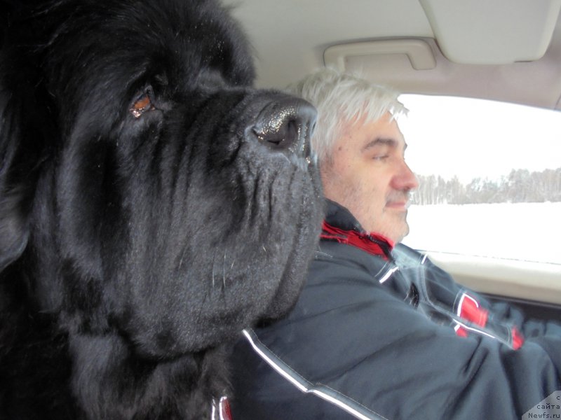 Фотография № 216456