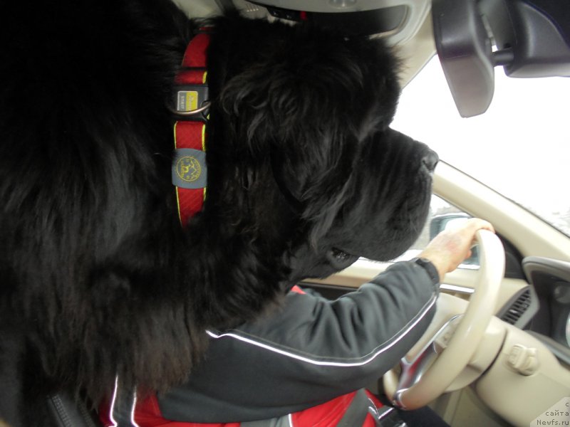 Фотография № 216457