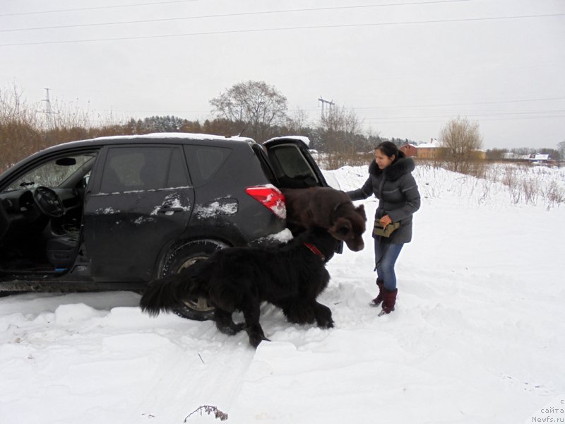 Фотография № 216458