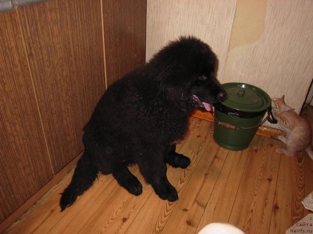 Фото: Ekaterina Lukina (Екатерина Лукина)