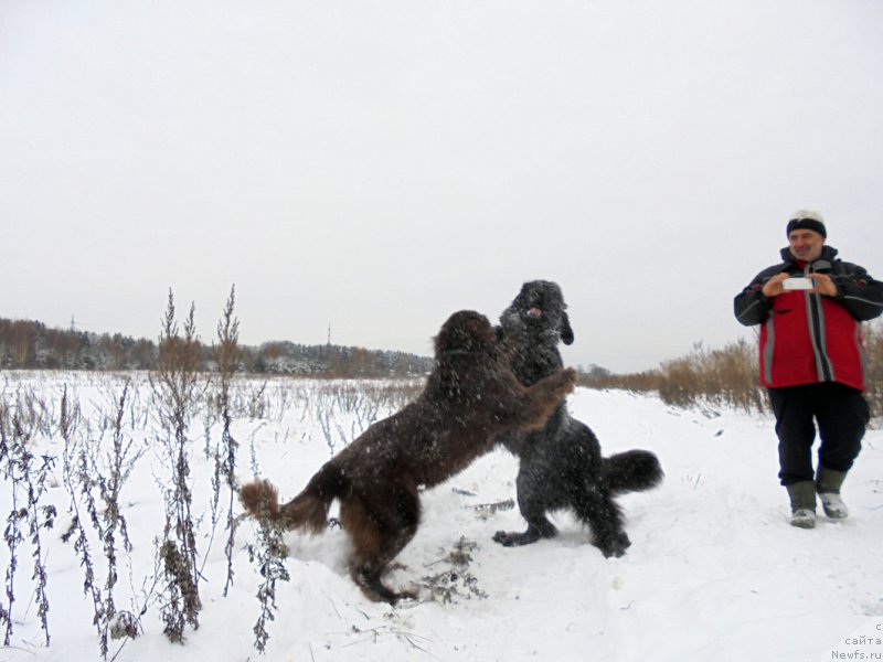 Фотография № 216463