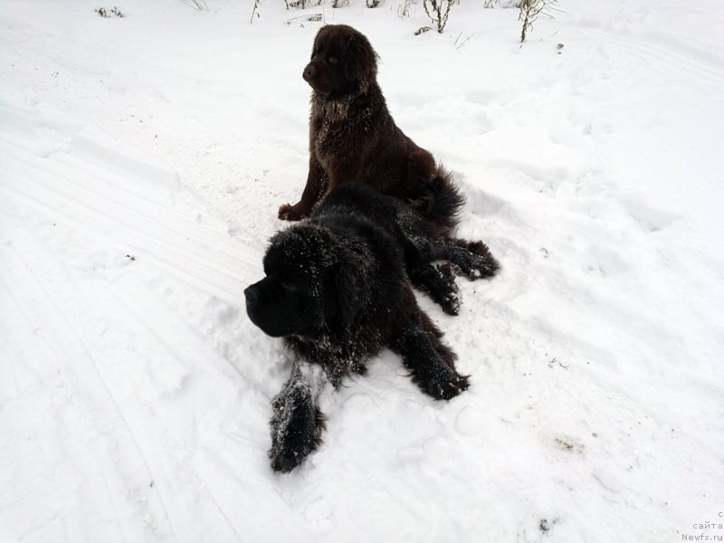 Фотография № 216465