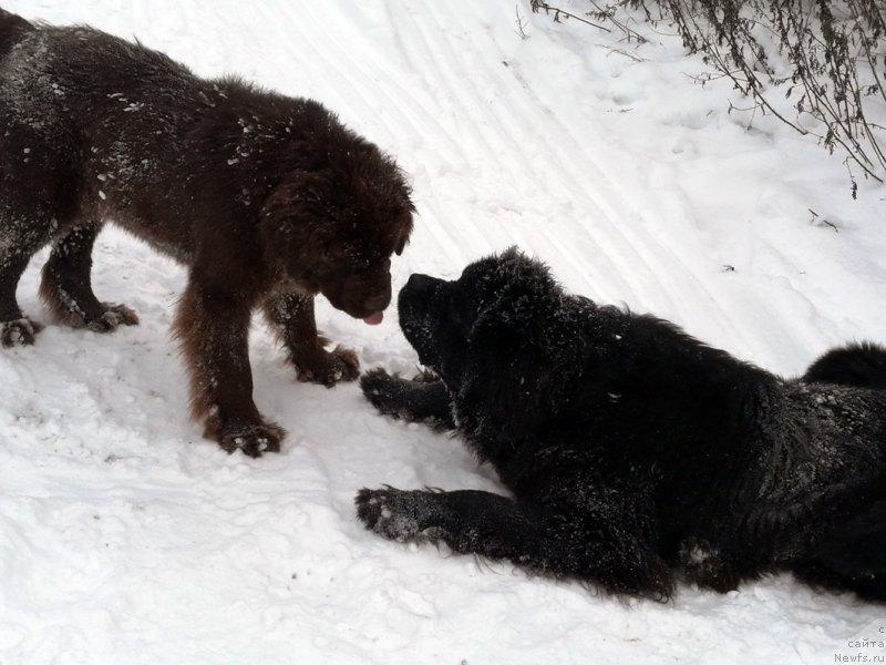 Фотография № 216467