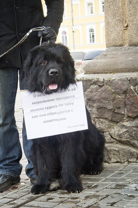 Фотография № 216530