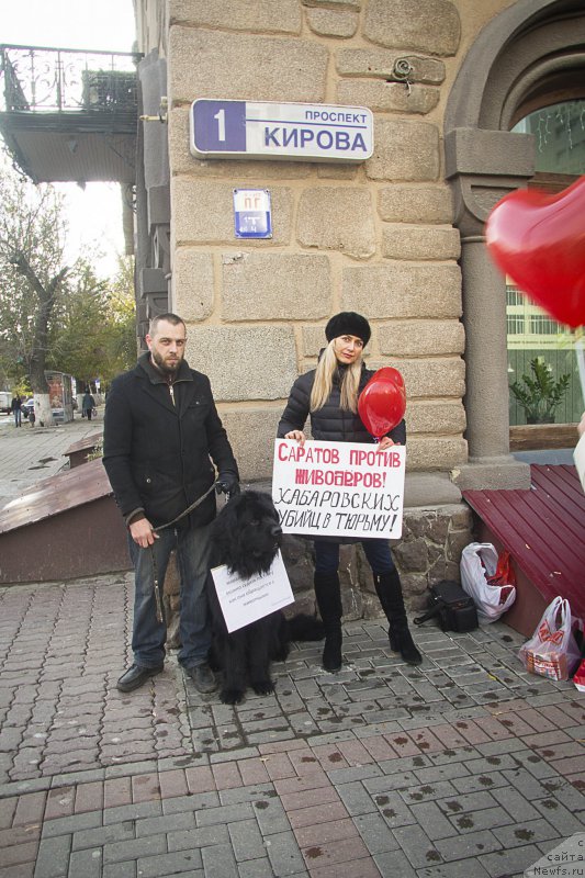 Фотография № 216531