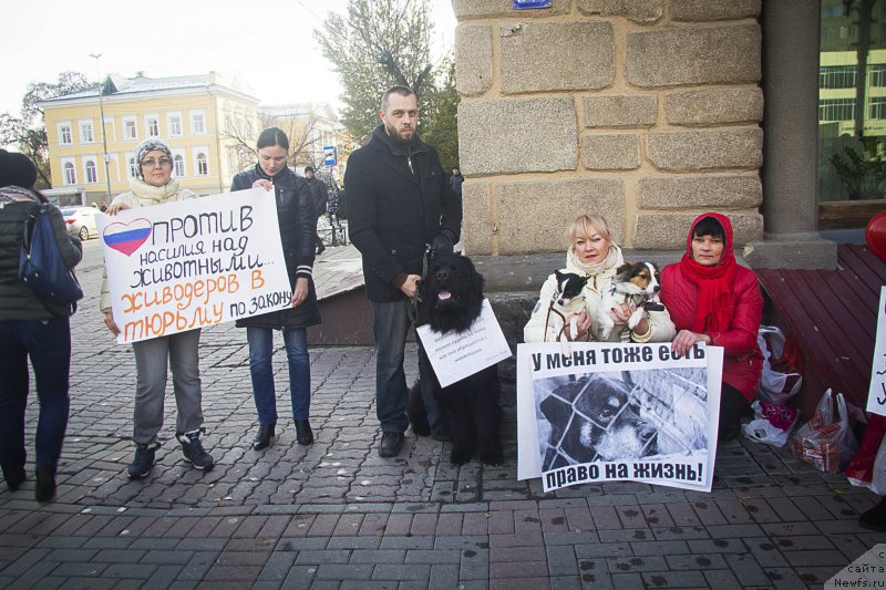 Фотография № 216532