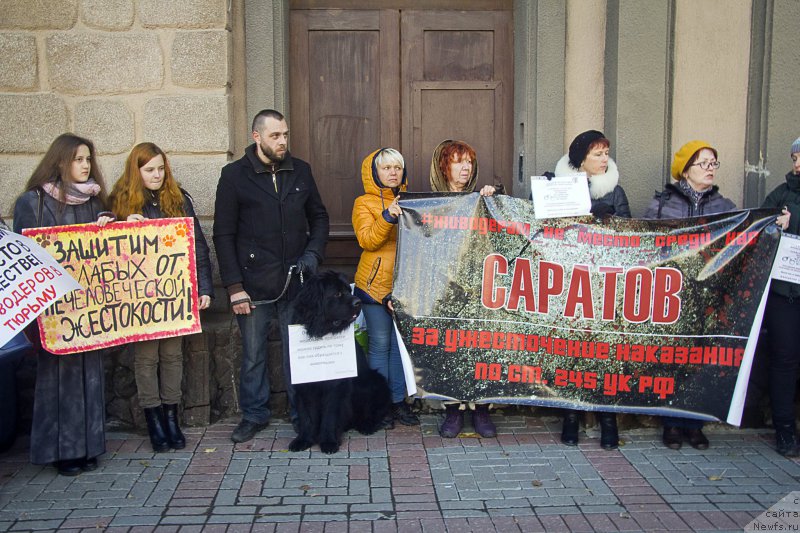 Фотография № 216533