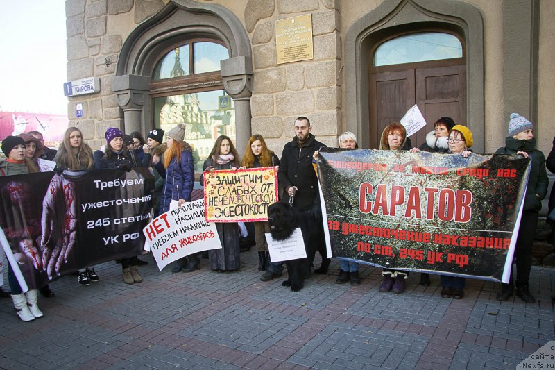 Фотография № 216535