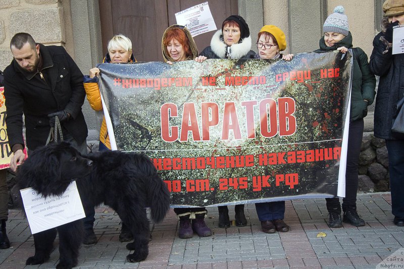 Фотография № 216536