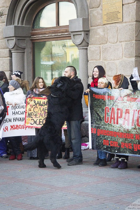 Фотография № 216537