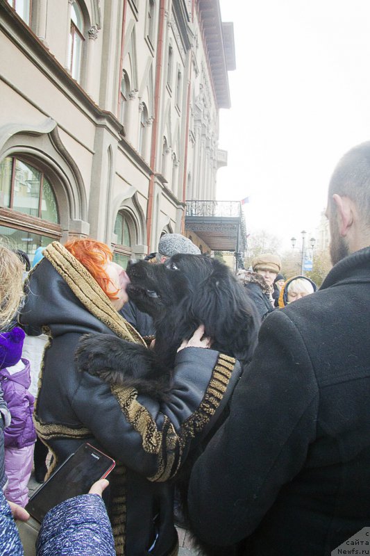 Фотография № 216539