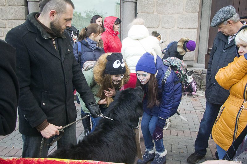 Фотография № 216540