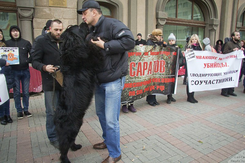 Фотография № 216541