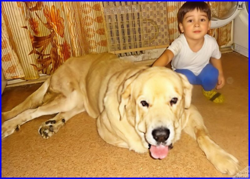 Фотография № 216549