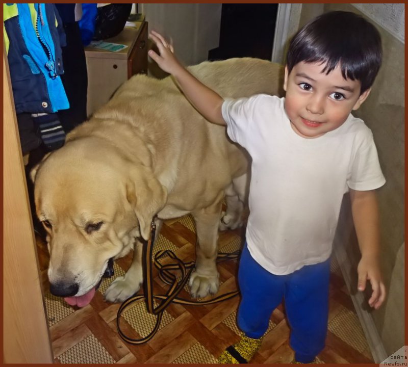 Фотография № 216557