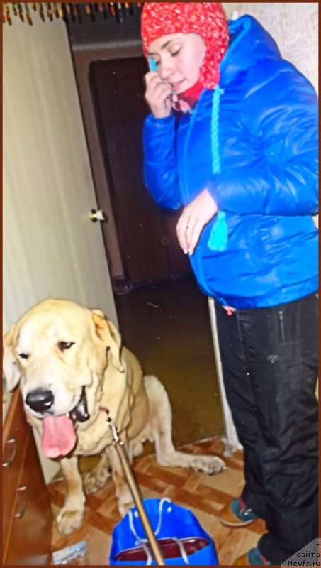 Фотография № 216559