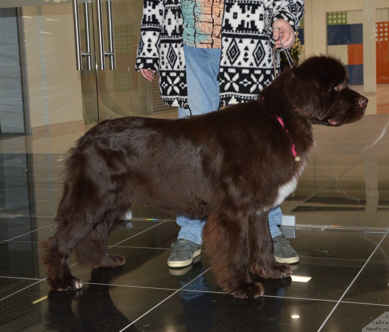 Фотография № 216757