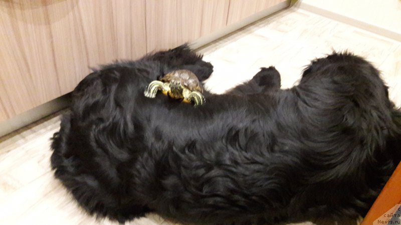 Фотография № 216770