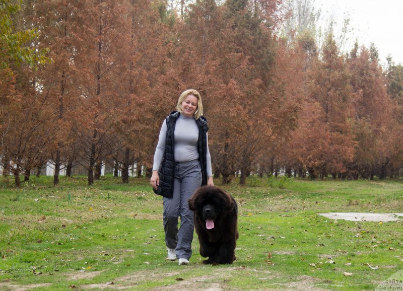 Фотография № 216780