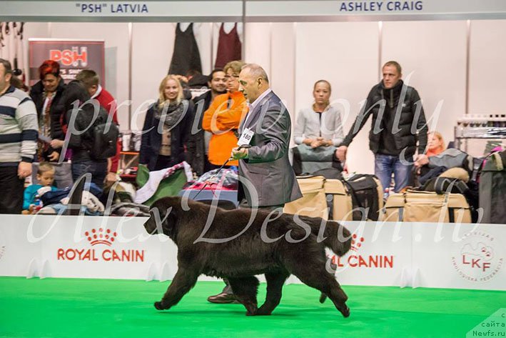 Фотография № 216789