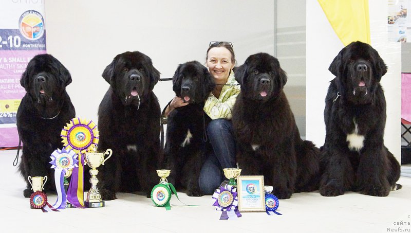 Фотография № 216797