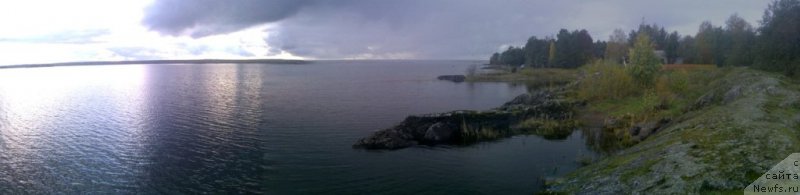 Фото: ньюфаундленд Mag Ispolin Morskaya Jemchujina (Маг Исполин Морская Жемчужина)