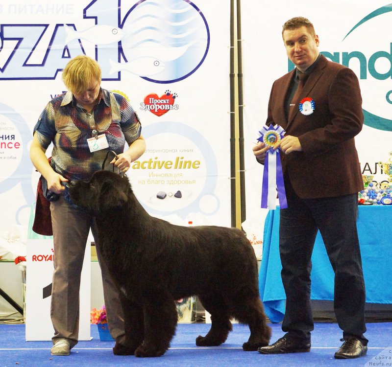 Фотография № 216829