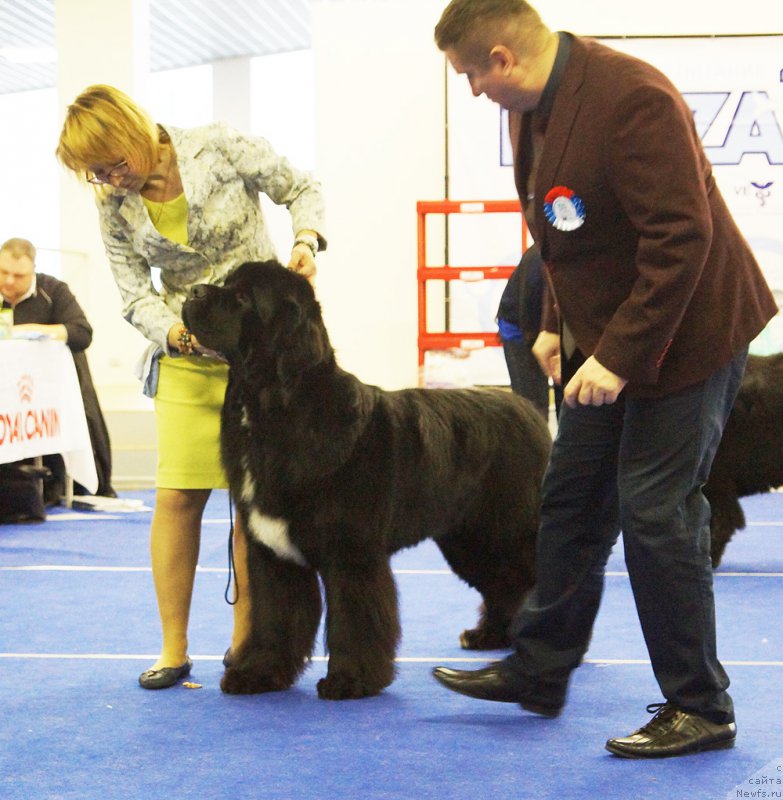 Фотография № 216832