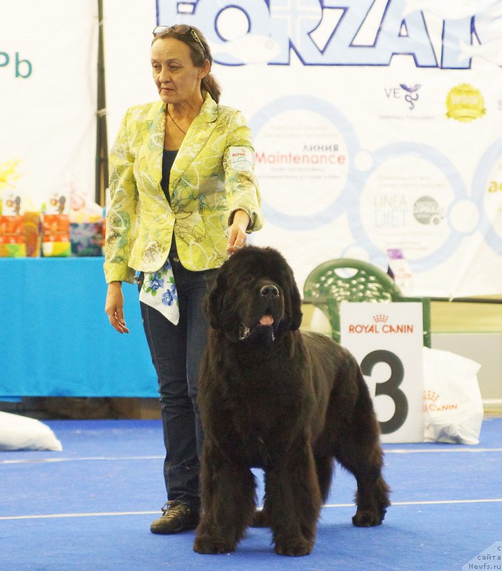 Фотография № 216835