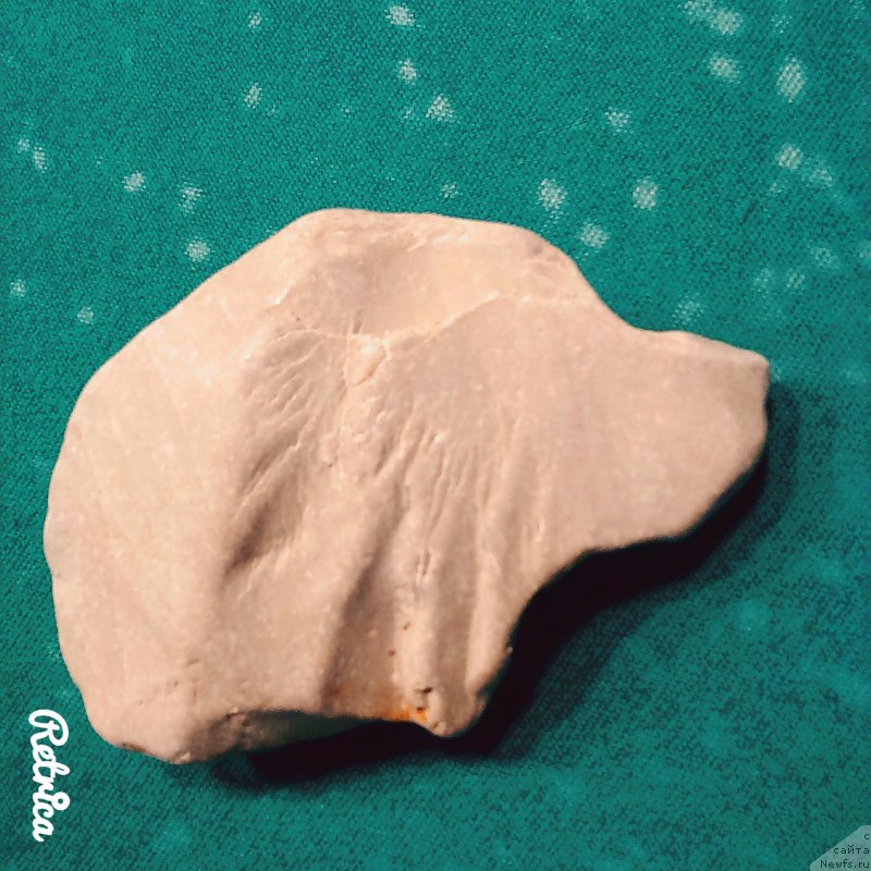 Фото: Alyona Kanashenko (Алёна Канашенко)