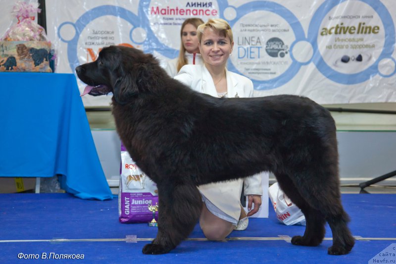 Фотография № 216927