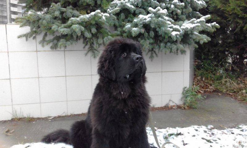 Фото: Злата из Акватории Келвин