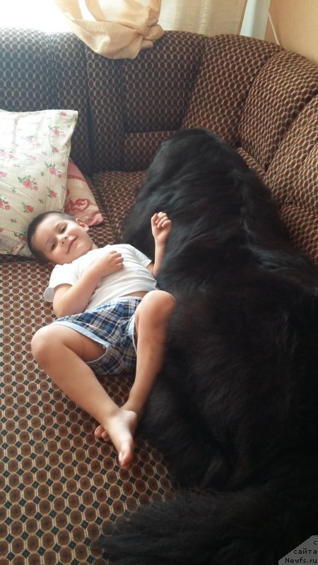 Фотография № 216946