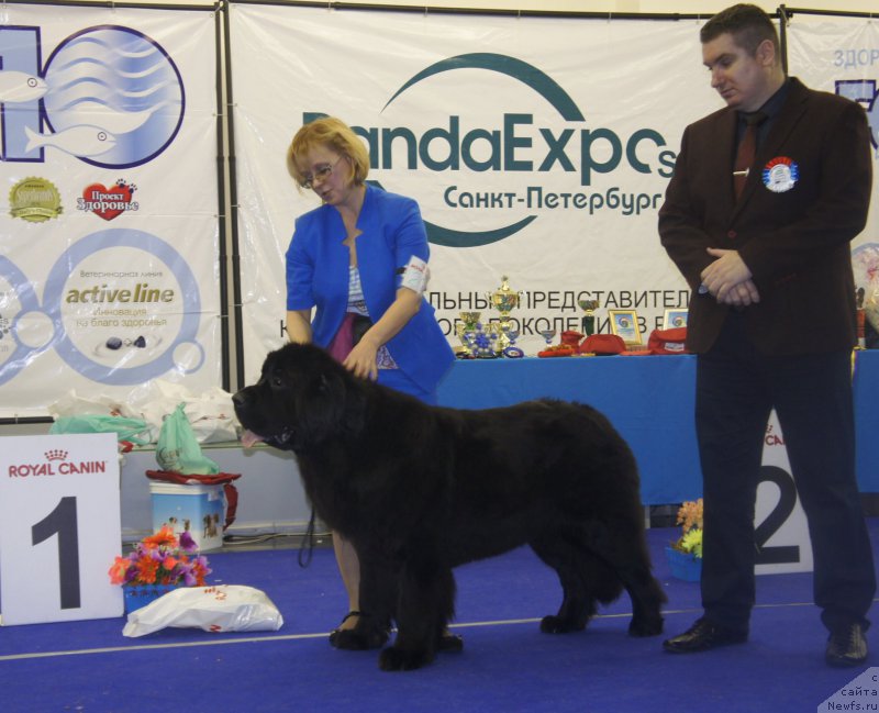 Фотография № 216959