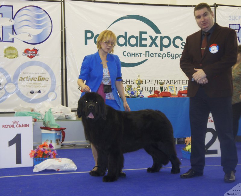 Фотография № 216960