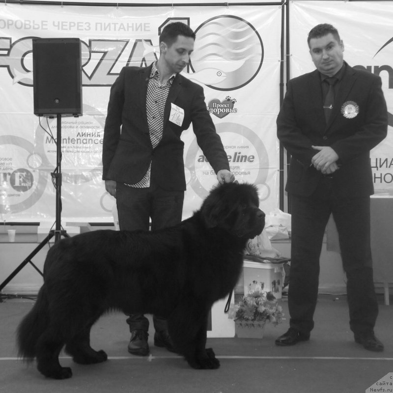 Фотография № 216964