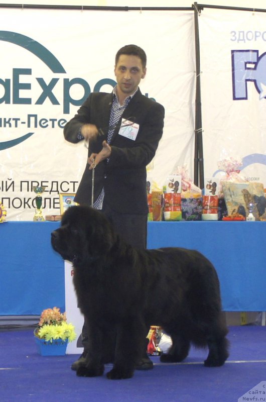 Фотография № 216967