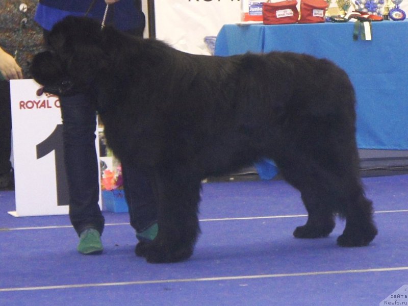 Фотография № 216969