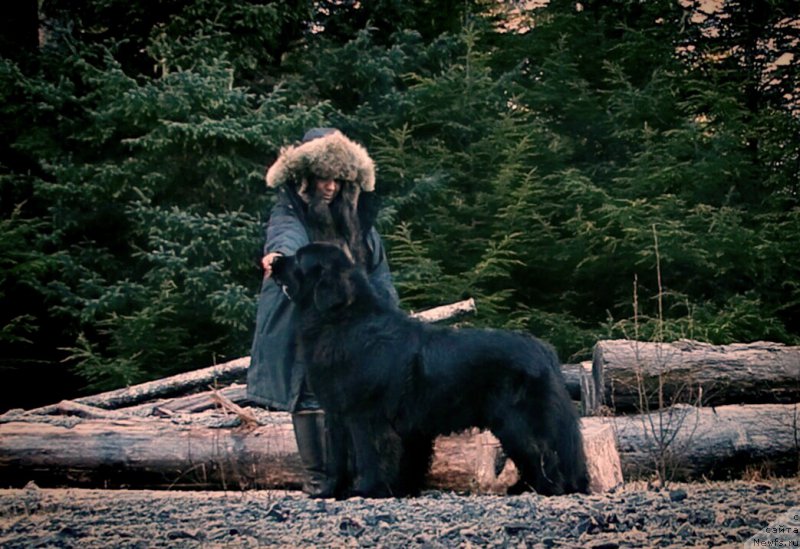 Фотография № 216978