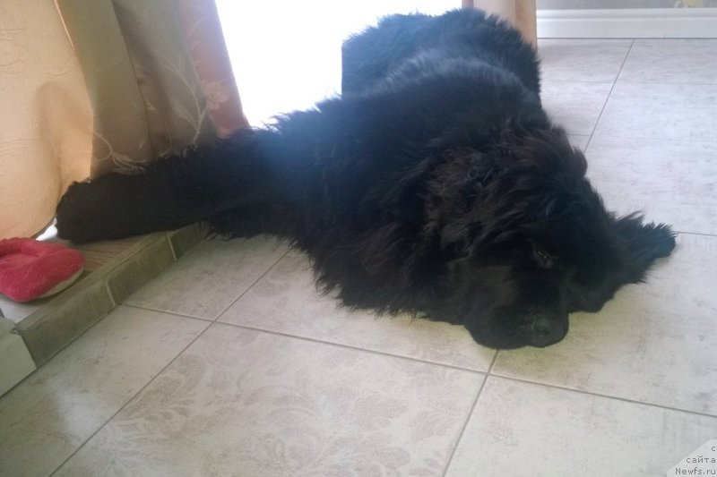 Фотография № 216981