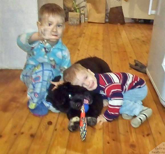 Фотография № 217063