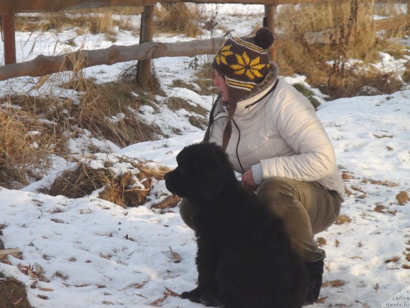 Фотография № 217068