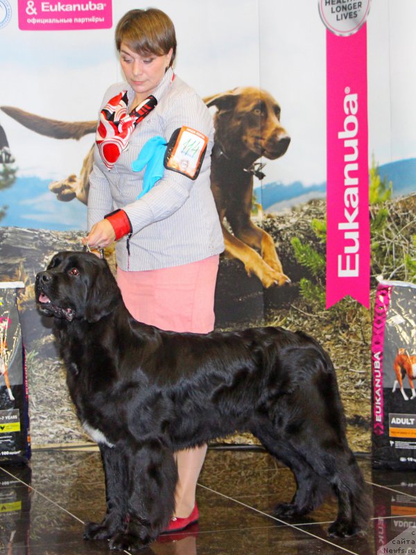 Фотография № 217092