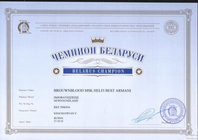 Фото: ньюфаундленд Brownblood MSK Helfi Best Armani (Браунблад МСК Хелфи Бэст Армани)