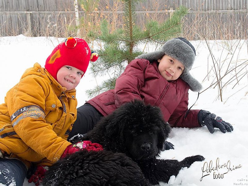 Фотография № 217217