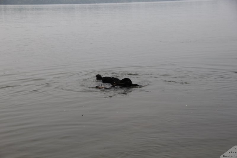 Фотография № 217238