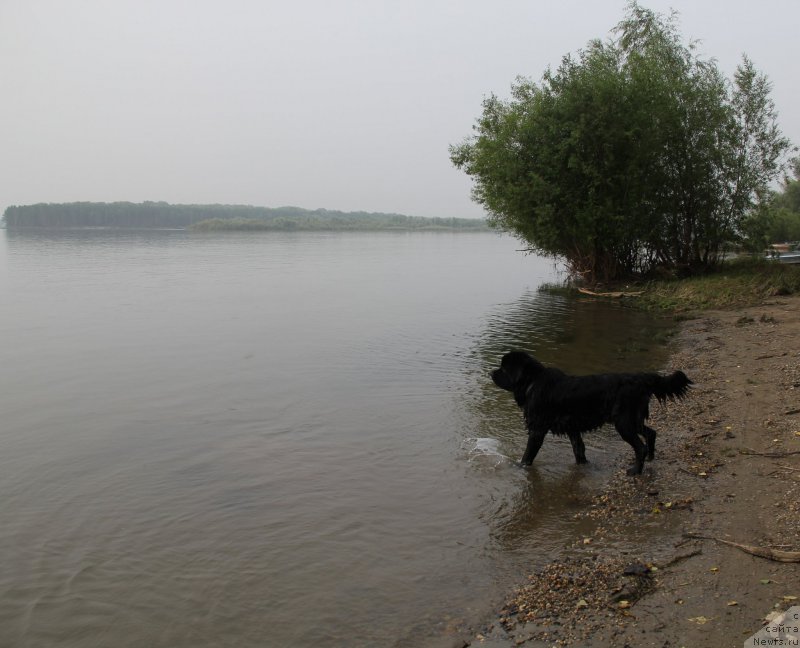 Фотография № 217241