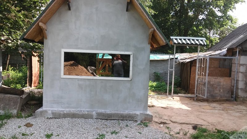 Фотография № 217245